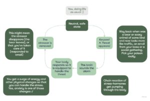 blog-beatriz-stanley-what-is-anxiety-02-flowchart